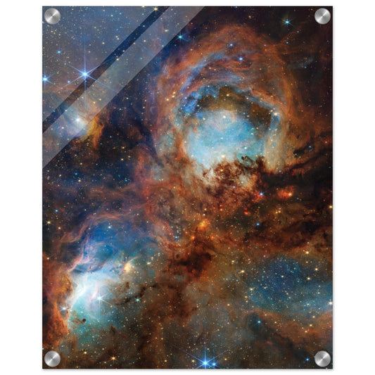 NASA - Poster - Acrylic - 39. Cat's Paw Nebula (NIRCam Image) - James Webb Space Telescope - Acrylic Print Acrylic Print TP Aviation Art 40x50 cm / 16x20″
