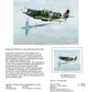 Thijs Postma - Original Painting - Supermarine Spitfire Vb versus Messerschmitt Bf 109E Original Painting TP Aviation Art 
