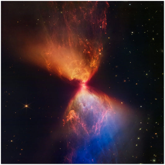 NASA - Poster - 11. L1527 and Protostar (NIRCam Image) - James Webb Space Telescope Poster Only TP Aviation Art