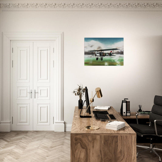 Thijs Postma - Poster - Fokker C.IV LVA Poster Only TP Aviation Art