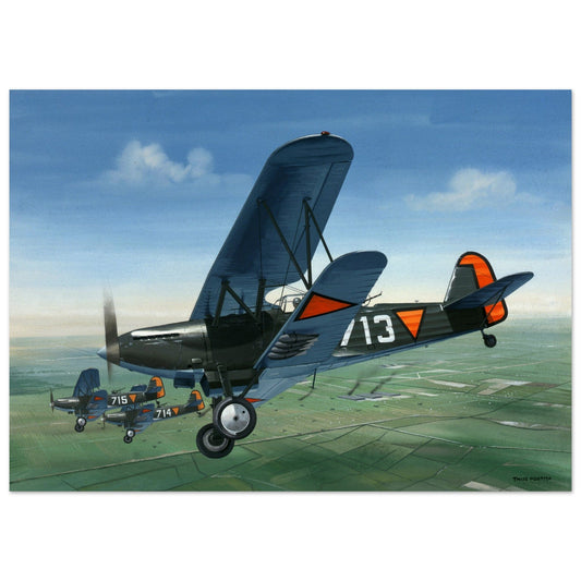 Thijs Postma - Poster - Fokker C.X Valkenburg Poster Only TP Aviation Art 50x70 cm / 20x28″