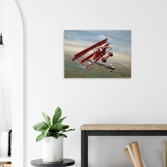 Thijs Postma - Poster - Fokker Dr.I With RAF S.E.5 Poster Only TP Aviation Art