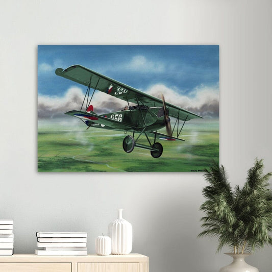 Thijs Postma - Poster - Fokker D.VII Over The Dutch Landscape Poster Only TP Aviation Art
