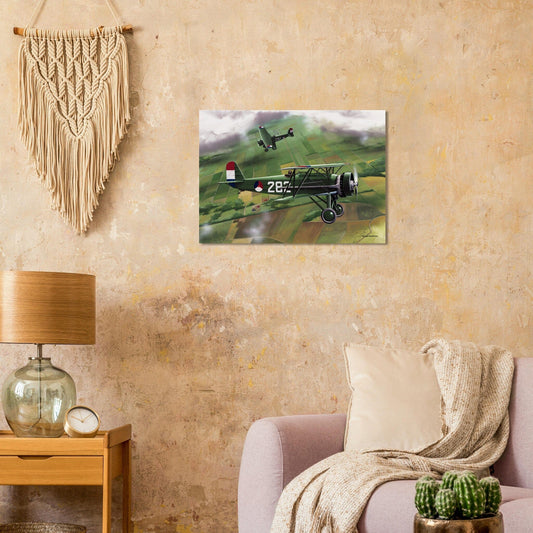 Thijs Postma - Poster - Fokker D.XVI LVA Exercise Poster Only TP Aviation Art