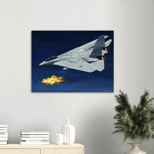 Thijs Postma - Poster - Grumman F-14 Tomcat Shooting Down A MiG-23 Poster Only TP Aviation Art