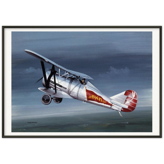Thijs Postma - Poster - Polikarpov I-5 In The Sky - Metal Frame Poster - Metal Frame TP Aviation Art