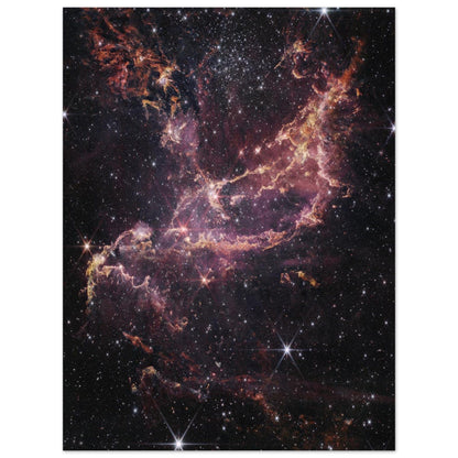 NASA - Poster - Aluminum - 33. Protoplanetary Disks in NGC 346 (NIRCam Image) - James Webb Space Telescope Aluminum Print TP Aviation Art 60x80 cm / 24x32″ 