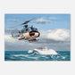 Thijs Postma - Poster - Augusta-Bell 204 MLD Poster Only TP Aviation Art 50x70 cm / 20x28″ 