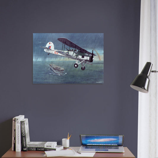 Thijs Postma - Poster - Fairey Swordfish 860 Sqn Poster Only TP Aviation Art 