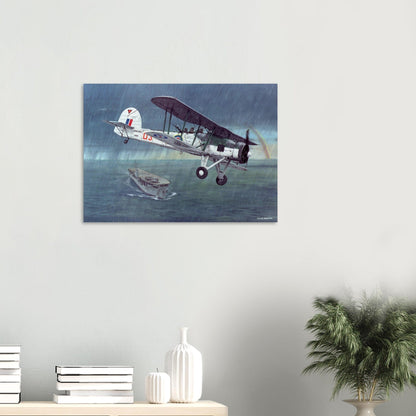 Thijs Postma - Poster - Fairey Swordfish 860 Sqn Poster Only TP Aviation Art 