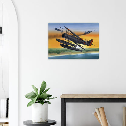 Thijs Postma - Poster - Fokker C.14w In Action Poster Only TP Aviation Art 
