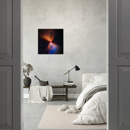 NASA - Poster - 11. L1527 and Protostar (NIRCam Image) - James Webb Space Telescope Poster Only TP Aviation Art 