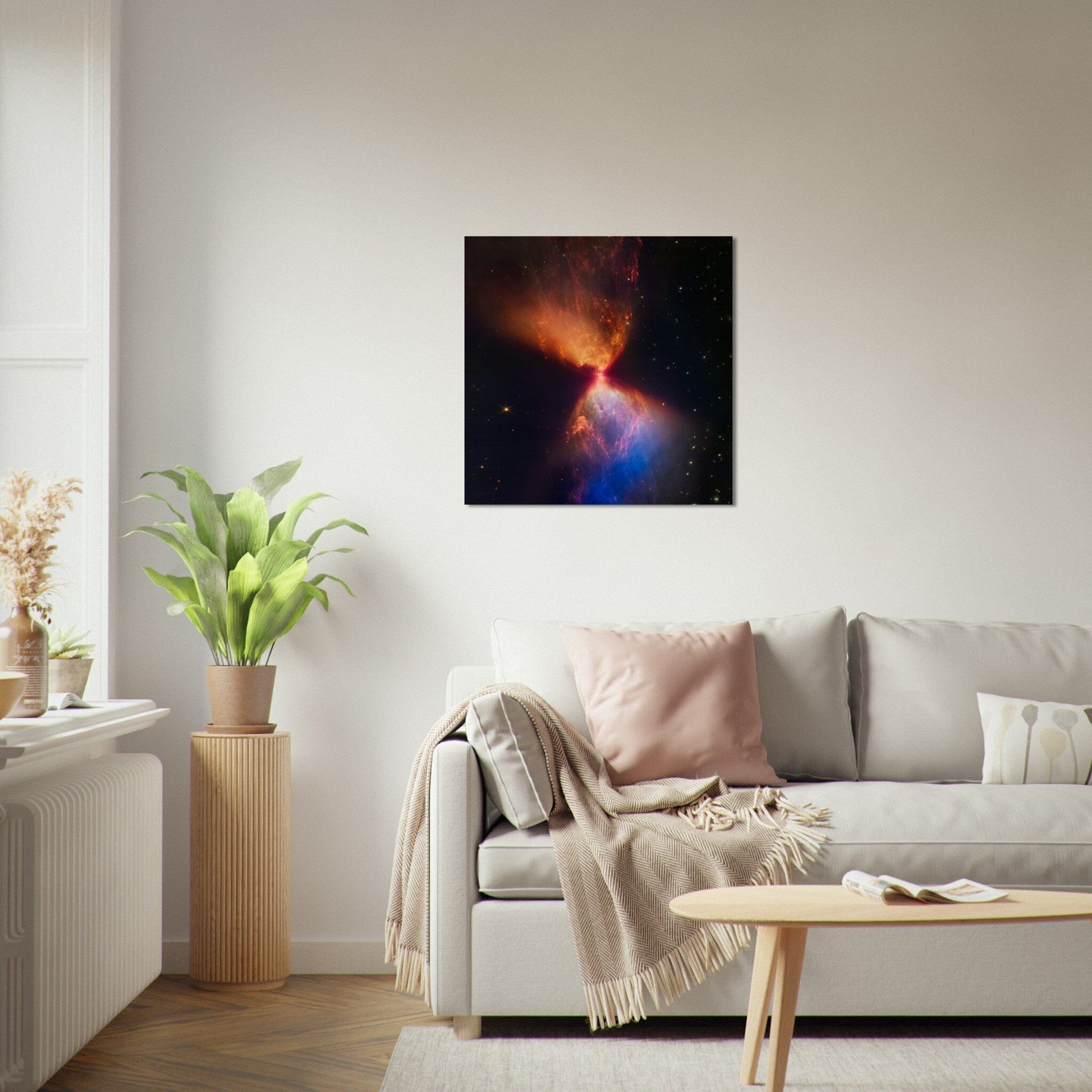 NASA - Poster - 11. L1527 and Protostar (NIRCam Image) - James Webb Space Telescope Poster Only TP Aviation Art 