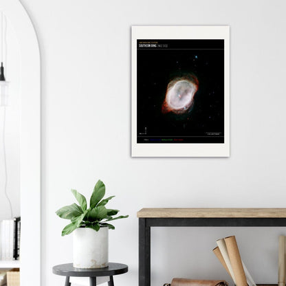 NASA - Poster - 12a. Southern Ring Nebula’s Gas (NIRCam and MIRI Composite Compass Image) - James Webb Space Telescope Poster Only TP Aviation Art 