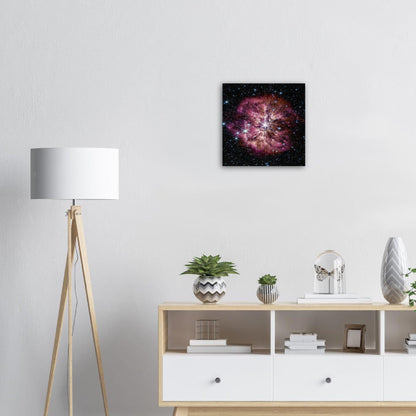NASA - Poster - 16. WR 124 (NIRCam and MIRI Composite Image) - James Webb Space Telescope Poster Only TP Aviation Art 