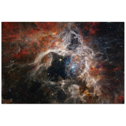 NASA - Poster - 8. Tarantula Nebula (NIRCam Image) - James Webb Space Telescope Poster Only TP Aviation Art 40x60 cm / 16x24″ 
