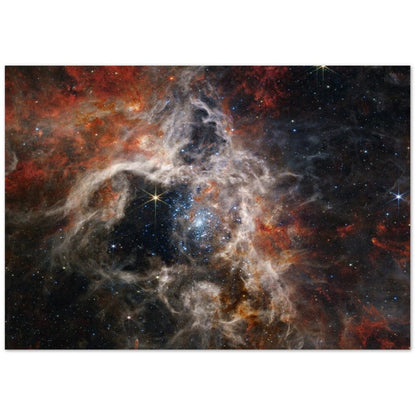 NASA - Poster - 8. Tarantula Nebula (NIRCam Image) - James Webb Space Telescope Poster Only TP Aviation Art 70x100 cm / 28x40″ 