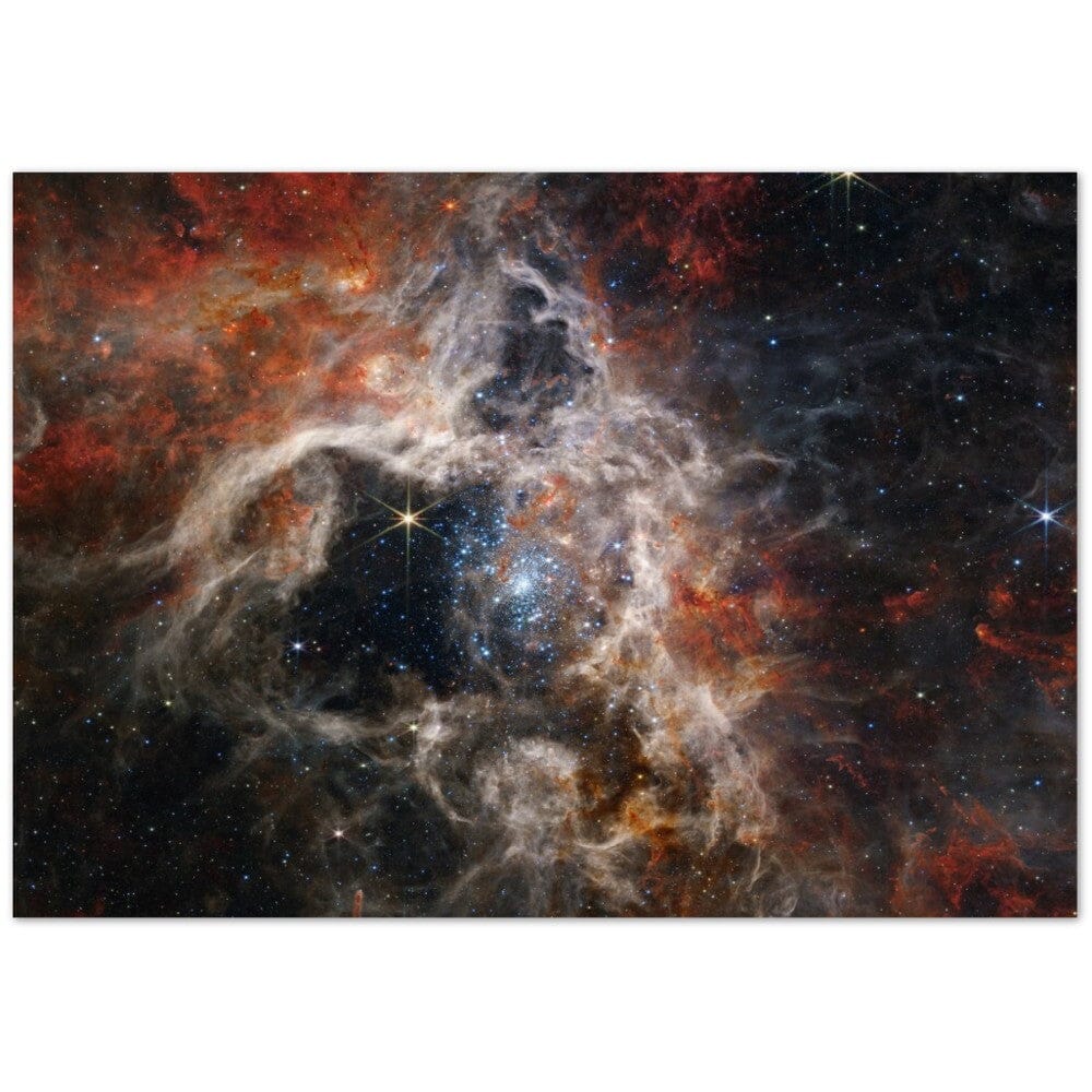 NASA - Poster - 8. Tarantula Nebula (NIRCam Image) - James Webb Space Telescope Poster Only TP Aviation Art 