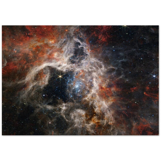 NASA - Poster - 8. Tarantula Nebula (NIRCam Image) - James Webb Space Telescope Poster Only TP Aviation Art 