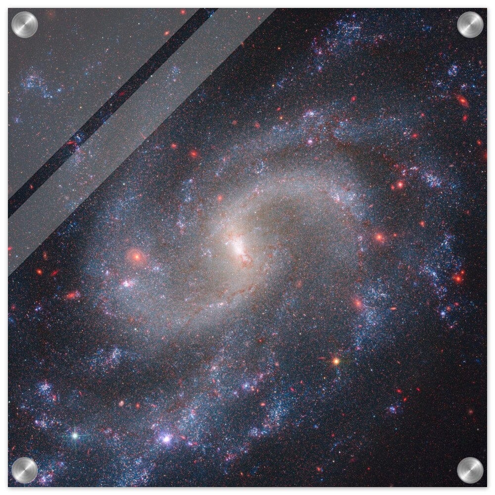 NASA - Poster - Acrylic - 26. NGC 5584 (Webb NIRCam + Hubble WFC3) - James Webb Space Telescope Acrylic Print TP Aviation Art 40x40 cm / 16x16″ 