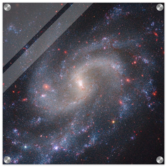 NASA - Poster - Acrylic - 26. NGC 5584 (Webb NIRCam + Hubble WFC3) - James Webb Space Telescope Acrylic Print TP Aviation Art 50x50 cm / 20x20″ 