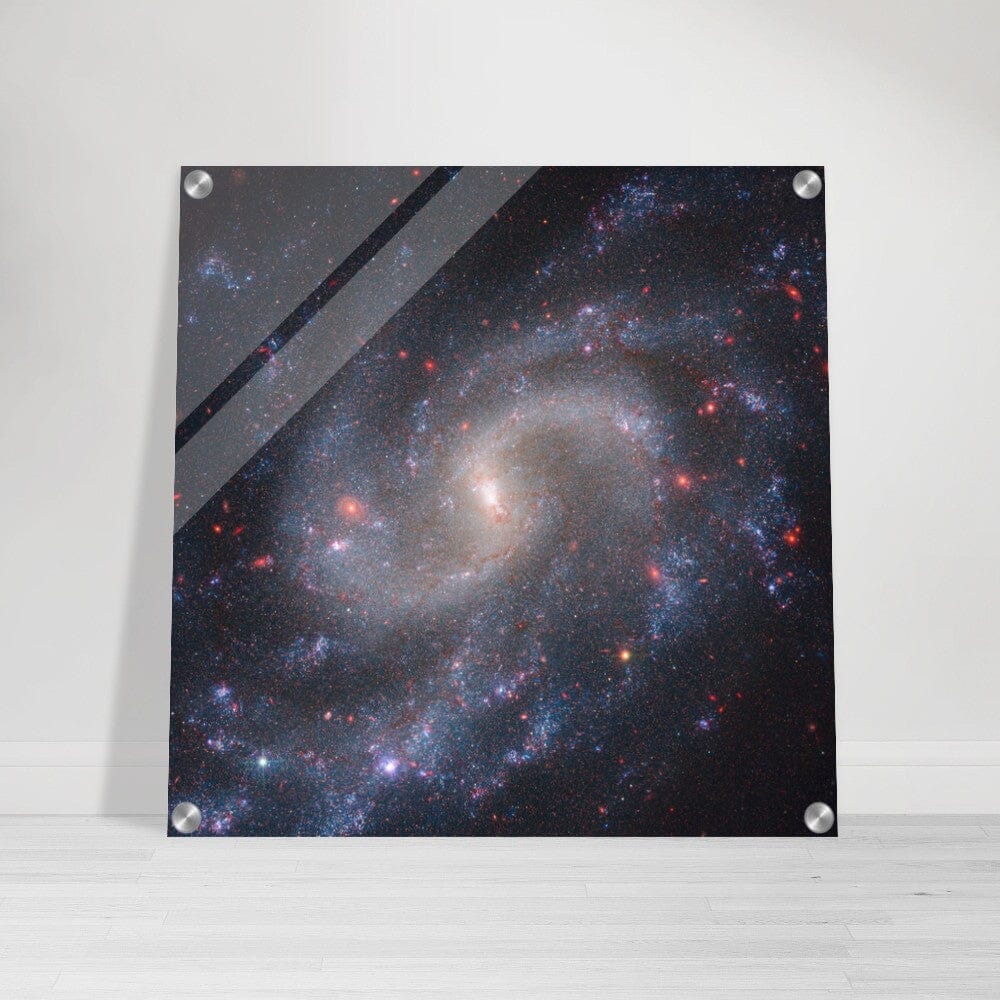 NASA - Poster - Acrylic - 26. NGC 5584 (Webb NIRCam + Hubble WFC3) - James Webb Space Telescope Acrylic Print TP Aviation Art 