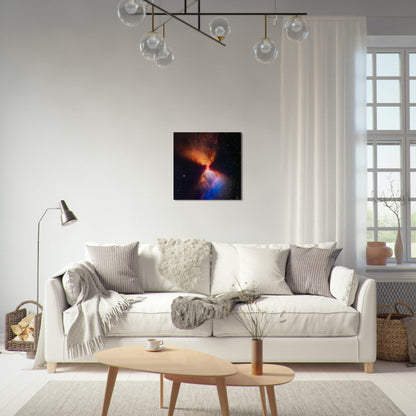 NASA - Poster - Aluminum - 11. L1527 and Protostar (NIRCam Image) - James Webb Space Telescope Aluminum Print TP Aviation Art 