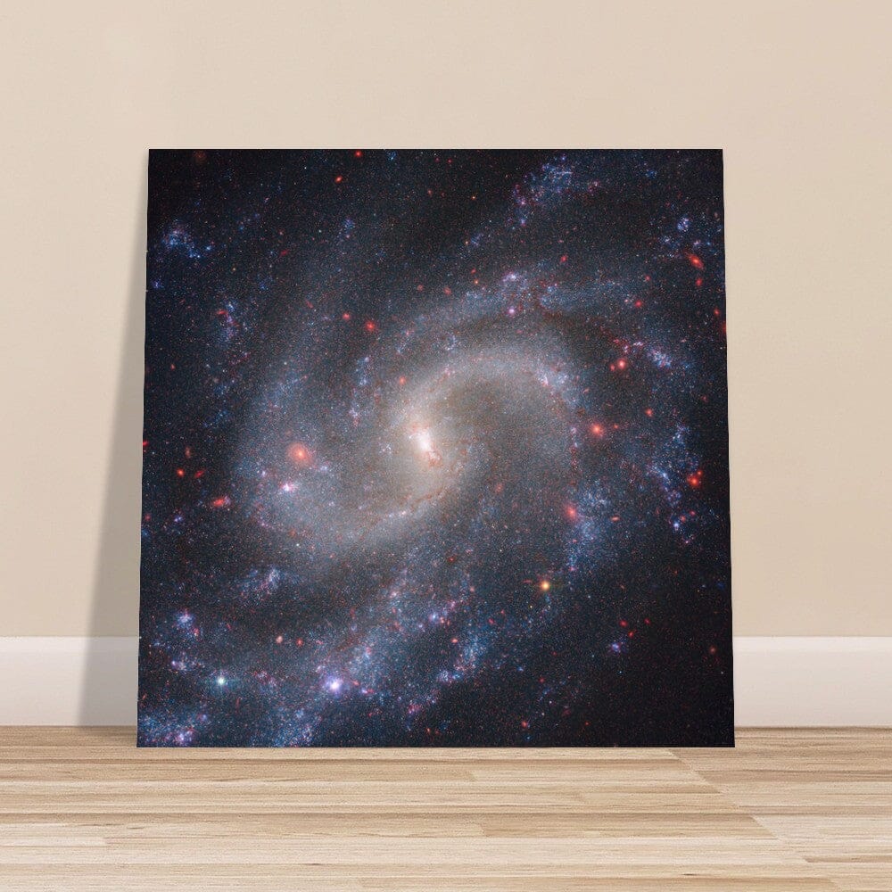 NASA - Poster - Aluminum - 26. NGC 5584 (Webb NIRCam + Hubble WFC3) - James Webb Space Telescope Aluminum Print TP Aviation Art 40x40 cm / 16x16″ 