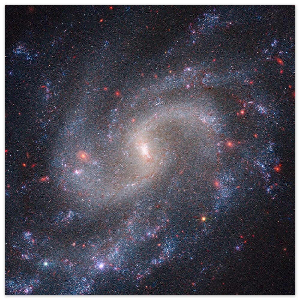 NASA - Poster - Aluminum - 26. NGC 5584 (Webb NIRCam + Hubble WFC3) - James Webb Space Telescope Aluminum Print TP Aviation Art 