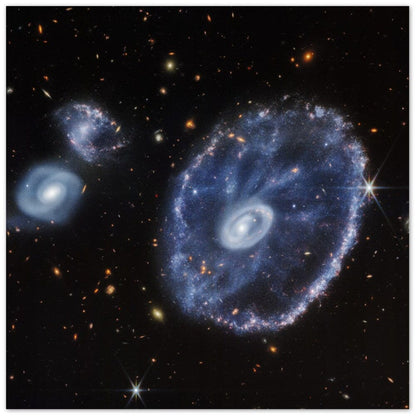 NASA - Poster - Aluminum - 6a. Cartwheel Galaxy (NIRCam Image) - James Webb Space Telescope Aluminum Print TP Aviation Art 