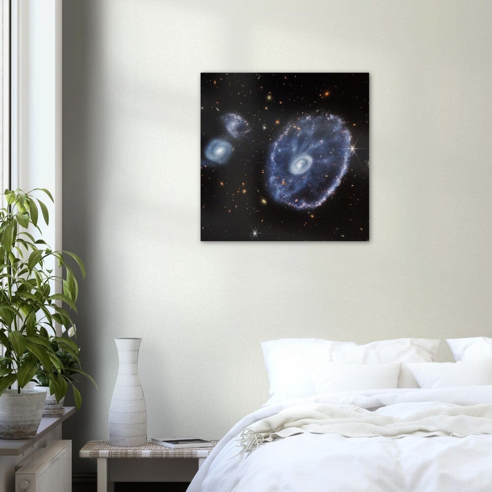 NASA - Poster - Aluminum - 6a. Cartwheel Galaxy (NIRCam Image) - James Webb Space Telescope Aluminum Print TP Aviation Art 
