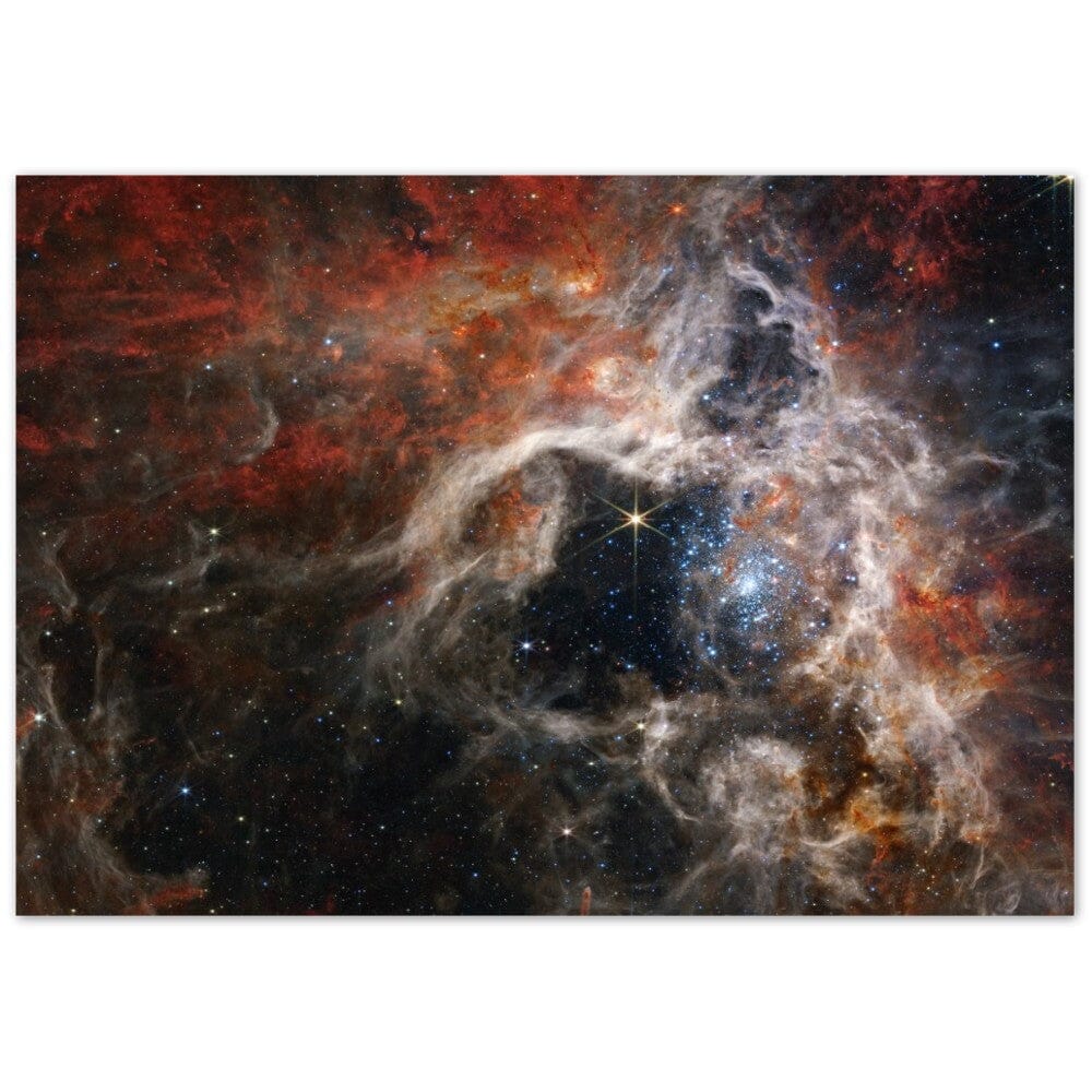 NASA - Poster - Aluminum - 8. Tarantula Nebula (NIRCam Image) - James Webb Space Telescope Aluminum Print TP Aviation Art 