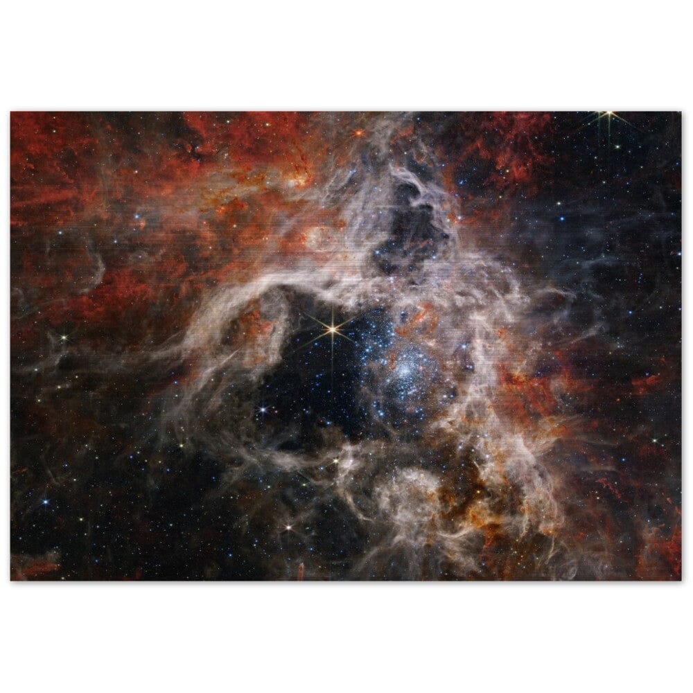 NASA - Poster - Brushed Aluminum - 8. Tarantula Nebula (NIRCam Image) - James Webb Space Telescope Brushed Aluminum Print TP Aviation Art 