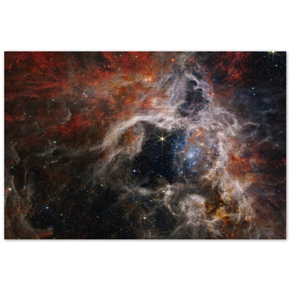 NASA - Poster - Brushed Aluminum - 8. Tarantula Nebula (NIRCam Image) - James Webb Space Telescope Brushed Aluminum Print TP Aviation Art 60x90 cm / 24x36″ 