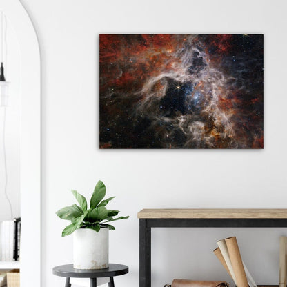 NASA - Poster - Brushed Aluminum - 8. Tarantula Nebula (NIRCam Image) - James Webb Space Telescope Brushed Aluminum Print TP Aviation Art 