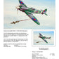 Thijs Postma - Original Painting - Spitfire Mk.14 322 Squadron Original Painting TP Aviation Art 