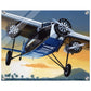 Thijs Postma - Poster - Acrylic - Fokker F.XVIII Pelikaan Flying To Batavia Acrylic Print TP Aviation Art 40x50 cm / 16x20″ 