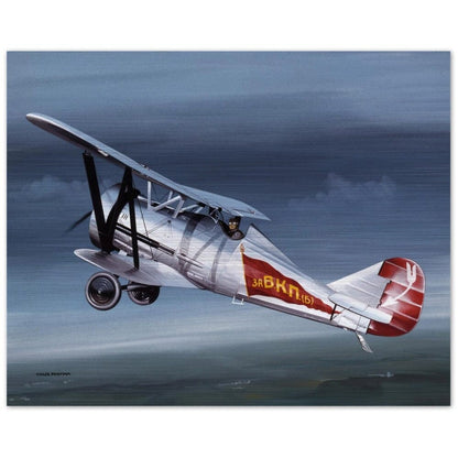 Thijs Postma - Poster - Aluminum - Polikarpov I-5 In The Sky - Brushed Brushed Aluminum Print TP Aviation Art 40x50 cm / 16x20″ 