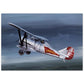 Thijs Postma - Poster - Aluminum - Polikarpov I-5 In The Sky - Brushed Brushed Aluminum Print TP Aviation Art 70x100 cm / 28x40″ 