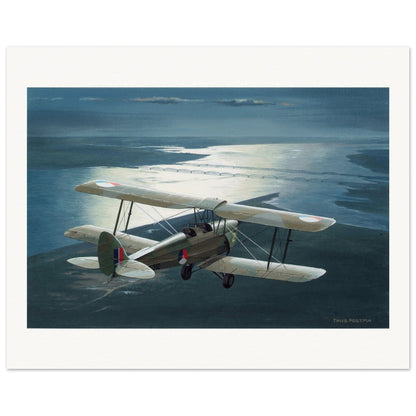 Thijs Postma - Poster - De Havilland DH.82A Tiger Moth Over Moerdijk Poster Only TP Aviation Art 40x50 cm / 16x20″ 