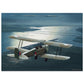 Thijs Postma - Poster - De Havilland DH.82A Tiger Moth Over Moerdijk Poster Only TP Aviation Art 50x70 cm / 20x28″ 