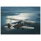 Thijs Postma - Poster - De Havilland DH.82A Tiger Moth Over Moerdijk Poster Only TP Aviation Art 70x100 cm / 28x40″ 