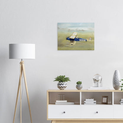 Thijs Postma - Poster - De Havilland DH.9 Over Railroad Tracks Poster Only TP Aviation Art 