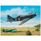Thijs Postma - Poster - Dewoitine D.520 Inspecting The Kill Poster Only TP Aviation Art 45x60 cm / 18x24″ 