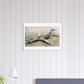 Thijs Postma - Poster - Douglas DC-9 KLM Cutaway Poster Only TP Aviation Art 