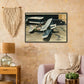 Thijs Postma - Poster - Douglas M-4 Discussing The Mail Plane - Metal Frame Poster - Metal Frame TP Aviation Art 