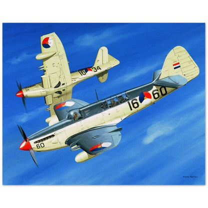 Thijs Postma - Poster - Fairey Firefly Mk-4 Dutch Navy Poster Only TP Aviation Art 40x50 cm / 16x20″ 