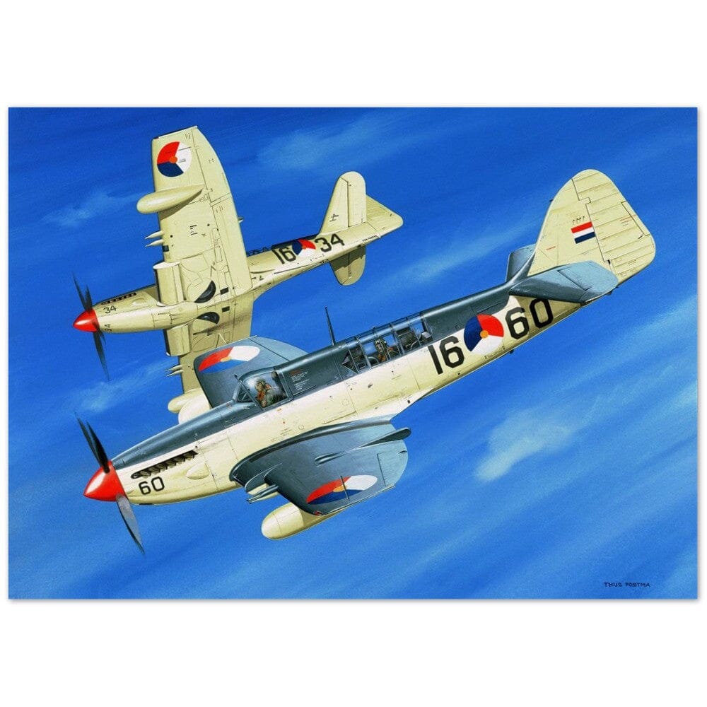 Thijs Postma - Poster - Fairey Firefly Mk-4 Dutch Navy Poster Only TP Aviation Art 50x70 cm / 20x28″ 