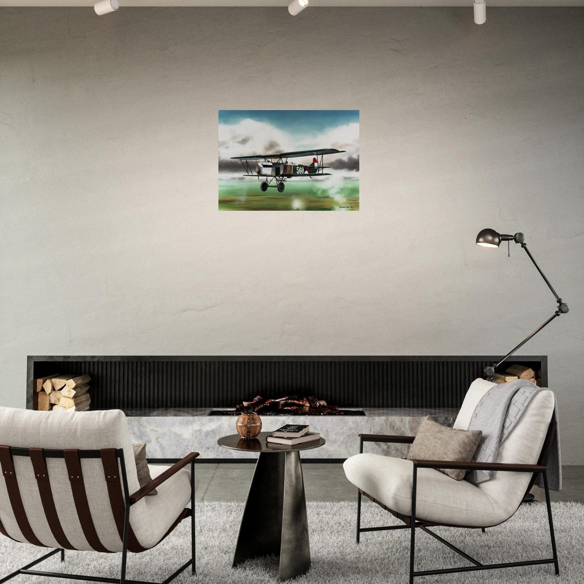 Thijs Postma - Poster - Fokker C.IV LVA Poster Only TP Aviation Art 
