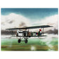 Thijs Postma - Poster - Fokker C.IV LVA Poster Only TP Aviation Art 45x60 cm / 18x24″ 